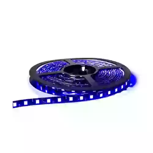 Rollo de led - rollo de led (300 led) 5 metros 3528 - azul 24v  