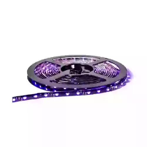 Rollo de led - rollo de led (300 led) 5 metros 3528 - rosa 12v  