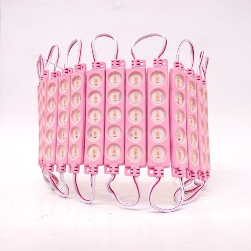 Modulo led cob - 5 led cob circular autoadhesivo 12v color rosa 7cm x 1,5cm  