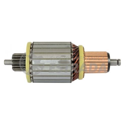 Inducidos - ean 1187799000010258  